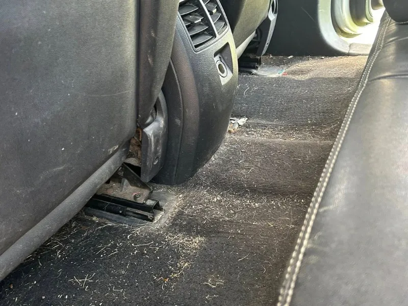 Rear floor vacuum and wipe-down, before